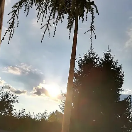 Lemic ゲストハウス