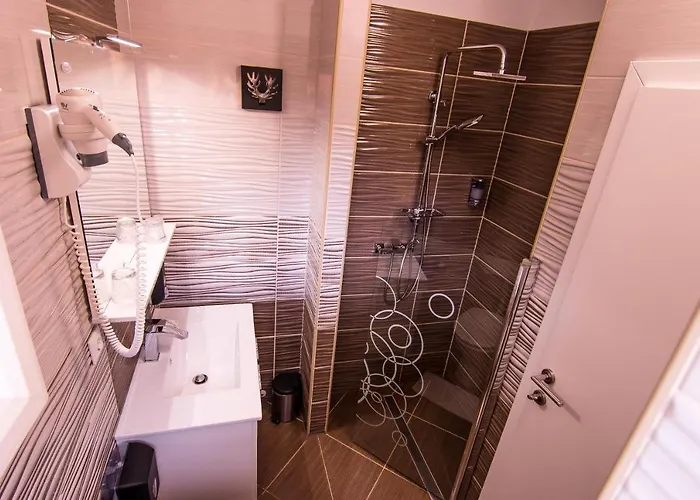 Guest house Lemic 3*