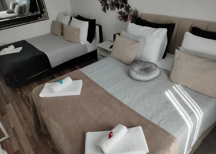 Lemic Guest house Postojna