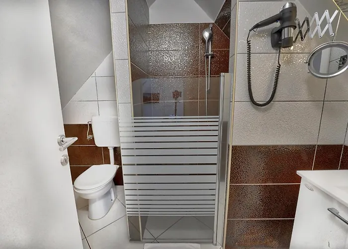 Guest house Lemic 3*