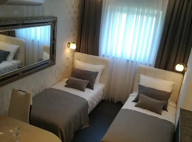 Guest house Lemic 3*