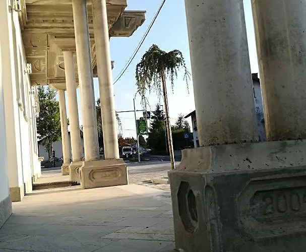 Lemic بوستوينا